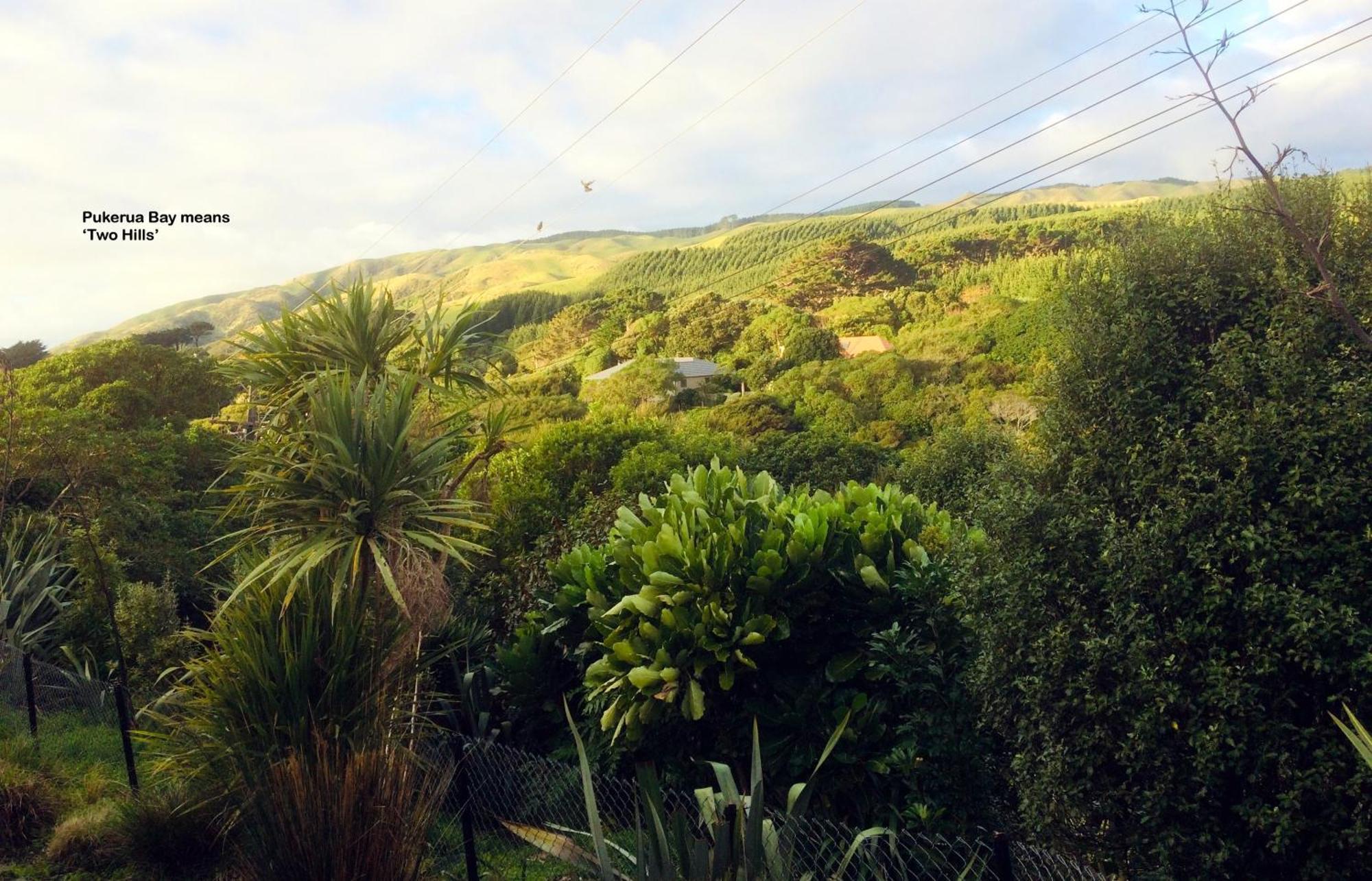 Peaceful Pukerua Bay Apartment Екстериор снимка
